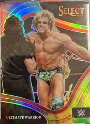Ultimate Warrior [Tie Dye Prizm] #229