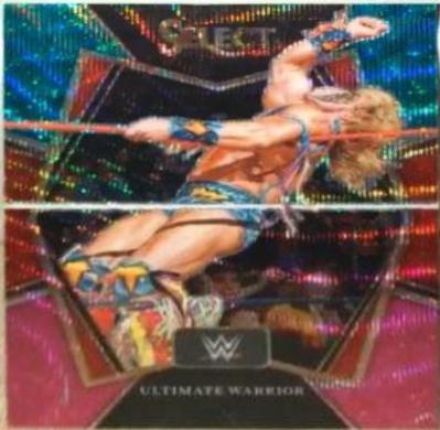Ultimate Warrior [Tri Color Prizm] #114