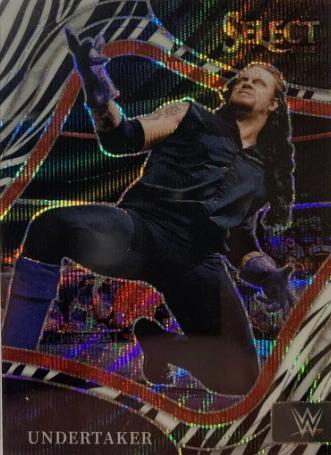 Undertaker [Zebra Prizm] #239