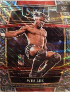 Wes Lee [Elephant Prizm] #70