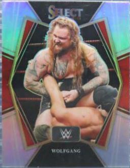 Wolfgang [Silver Prizm] #144