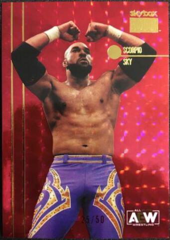 Scorpio Sky [Star Rubies] #PP-24