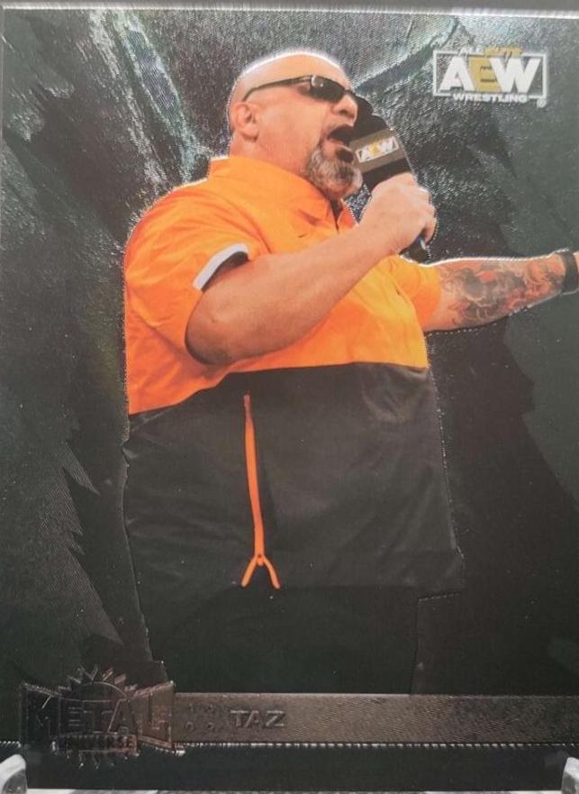Taz #74