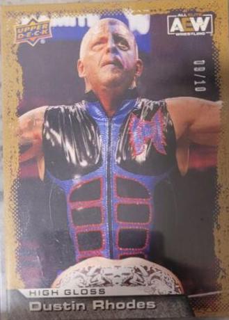 Dustin Rhodes [High Gloss] #46