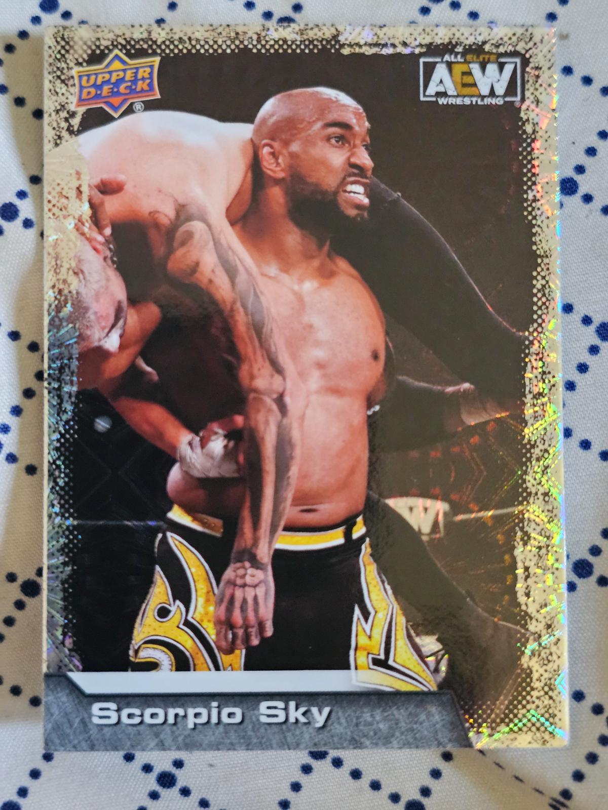 Scorpio Sky [Pyro] #26
