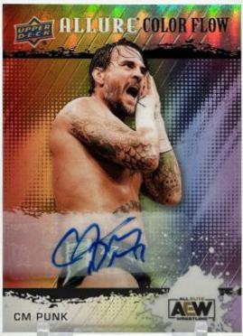 CM Punk [Full Rainbow Autograph] #R-1