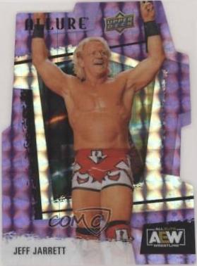 Jeff Jarrett [Purple Diamond] #37