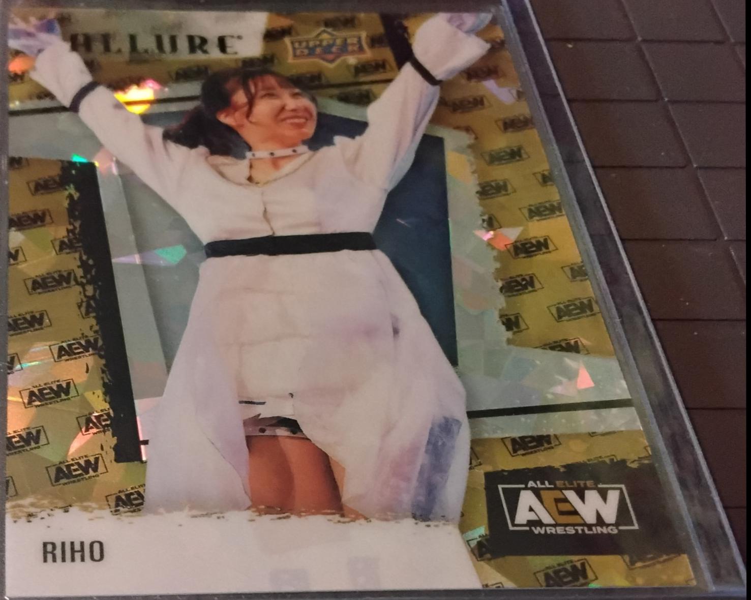 RIHO [Logo] #73