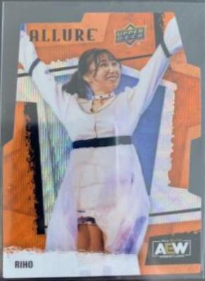 RIHO [Orange Slice Die Cut] #73