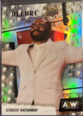 Stokely Hathaway [Tooth and Nails] #99