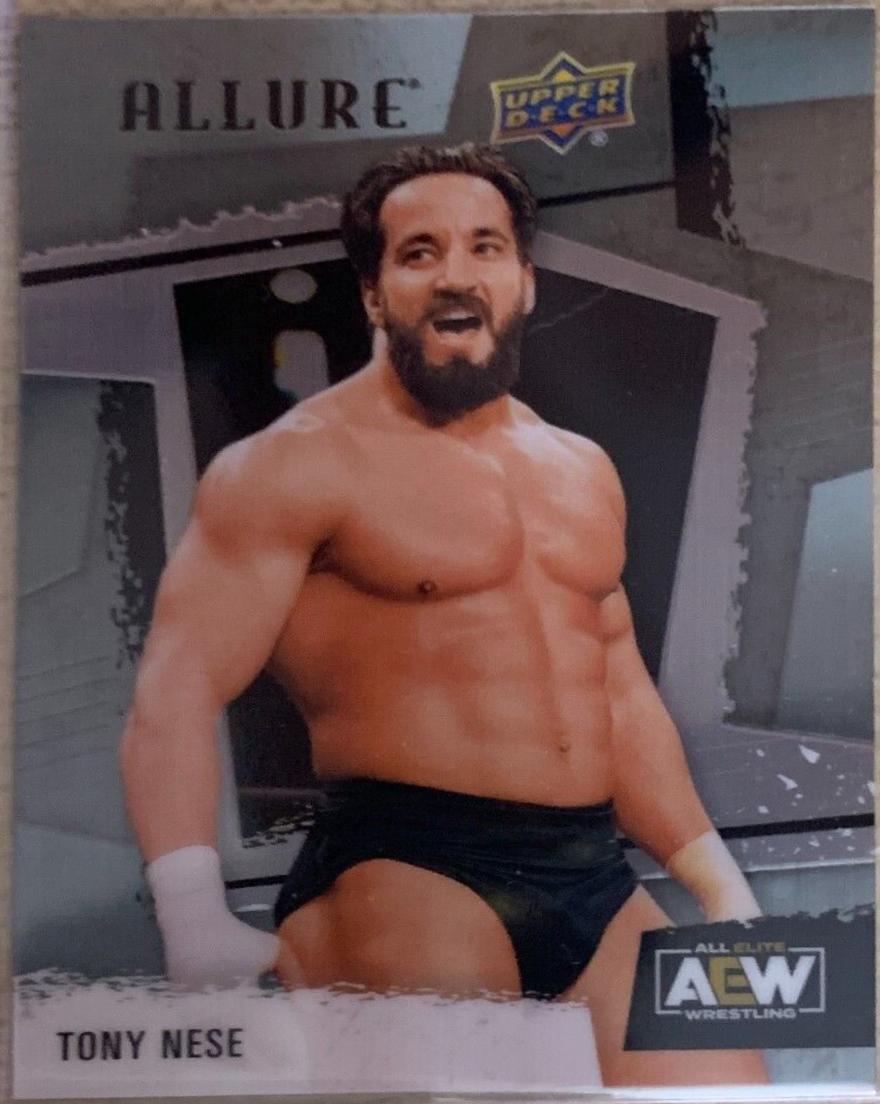 Tony Nese [Steel Chair] #92