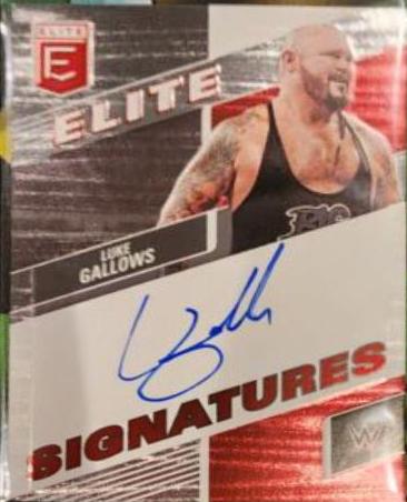 Luke Gallows #24
