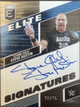 Stone Cold Steve Austin [Blue] #3