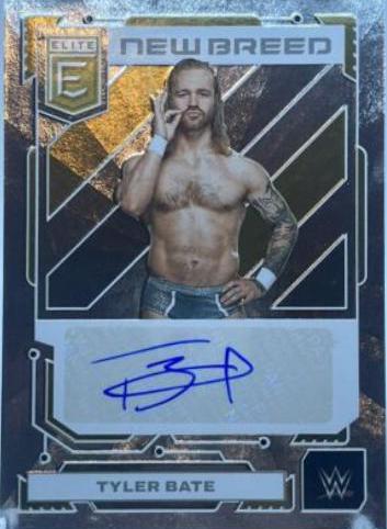 Tyler Bate #13