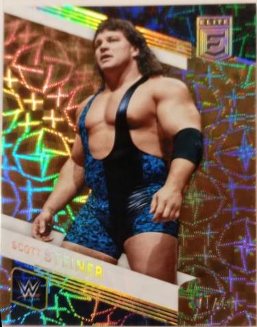 Scott Steiner [Gold] #131