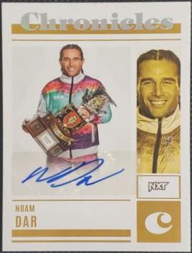 Noam Dar [Holo Silver] #33