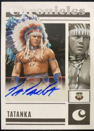 Tatanka #17