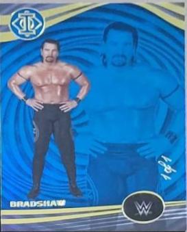 Bradshaw [Platinum] #259
