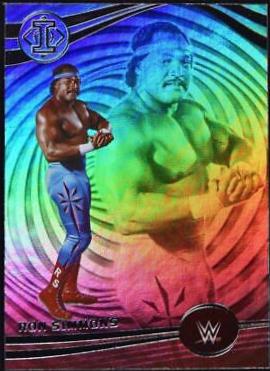 Ron Simmons #275