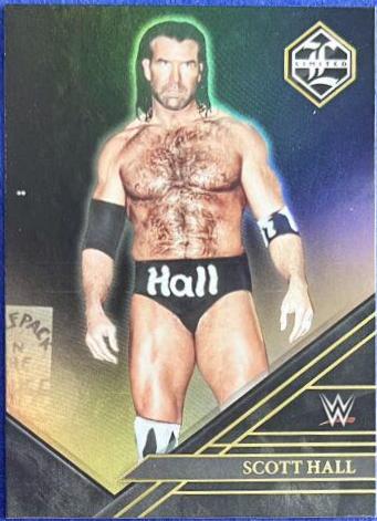 Scott Hall [Bronze] #235