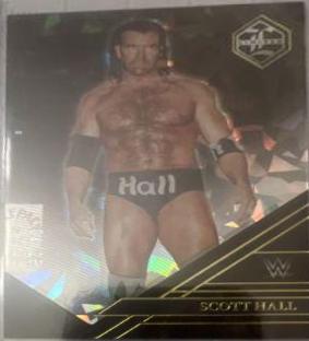 Scott Hall [Cracked Ice] #235