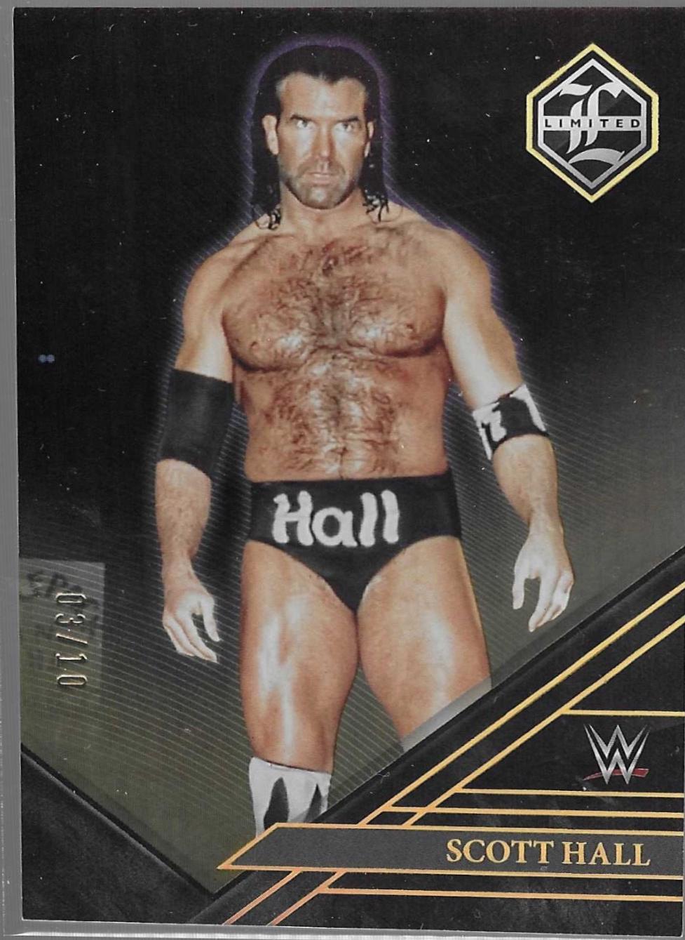 Scott Hall [Gold] #235