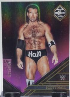 Scott Hall [Pink] #235