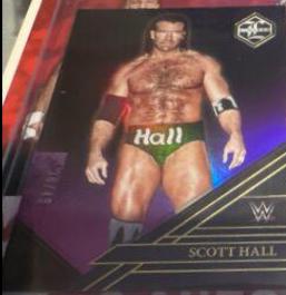 Scott Hall [Purple] #235