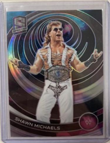 Shawn Michaels [Nebula] #380