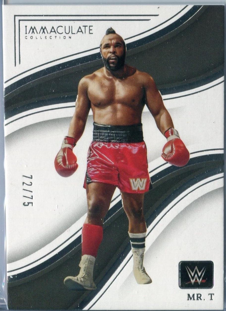 Mr. T #91