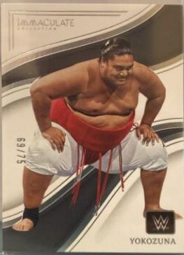 Yokozuna #93