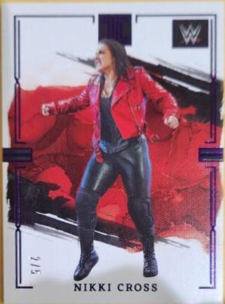 Nikki Cross [Amethyst] #70