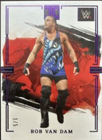 Rob Van Dam [Amethyst] #78