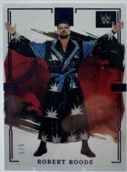 Robert Roode [Amethyst] #75