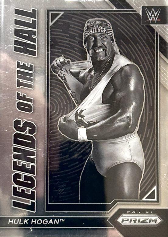 Hulk Hogan #16