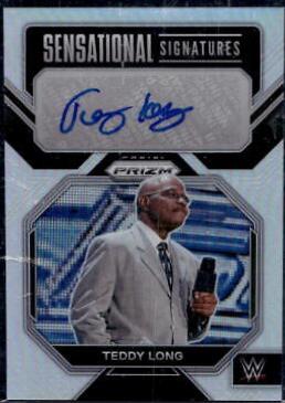 Teddy Long [Silver] #SN-TLG