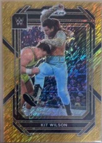 Kit Wilson [Gold Shimmer] #148