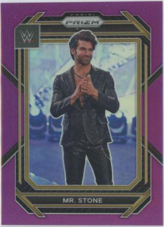 Mr. Stone [Purple] #140