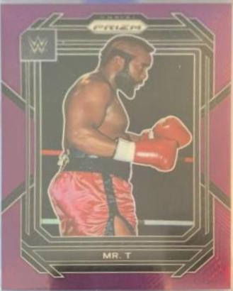 Mr. T [Purple] #130