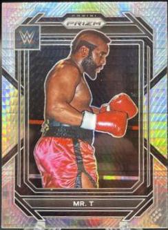 Mr. T [Silver] #130