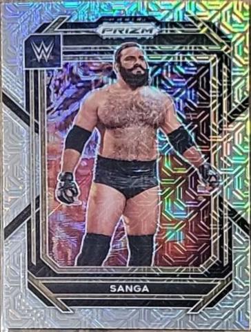 Sanga [Mojo] #117