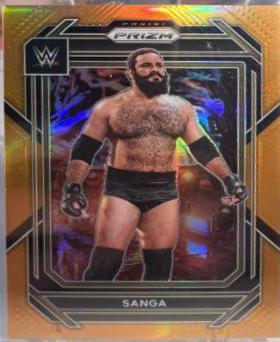 Sanga [Orange] #117