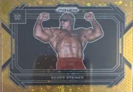 Scott Steiner [Gold] #48