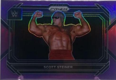 Scott Steiner [Purple] #48
