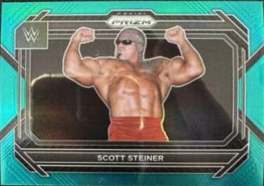 Scott Steiner [Teal] #48