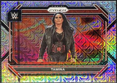 Tamina [Mojo] #11
