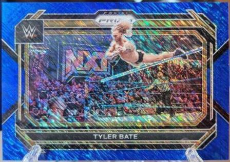 Tyler Bate [Blue Shimmer] #81