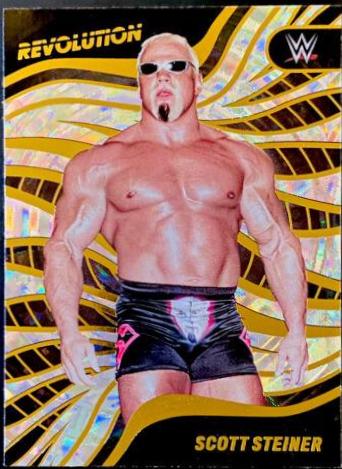 Scott Steiner [Fractal] #121