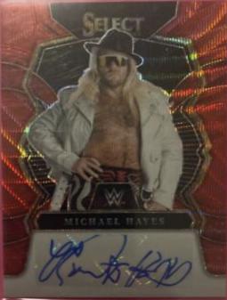 Michael Hayes [Flash] #SG-MHY