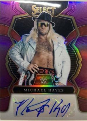 Michael Hayes [Purple] #SG-MHY